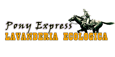 logo_pony_express